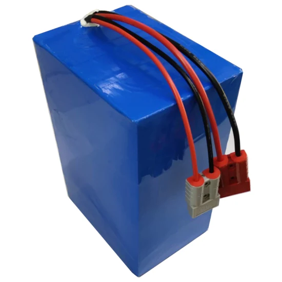 Electric Bicycle Battery 48V 50ah Lithium Ion Battery Pack Rechargeable Customizable Battery